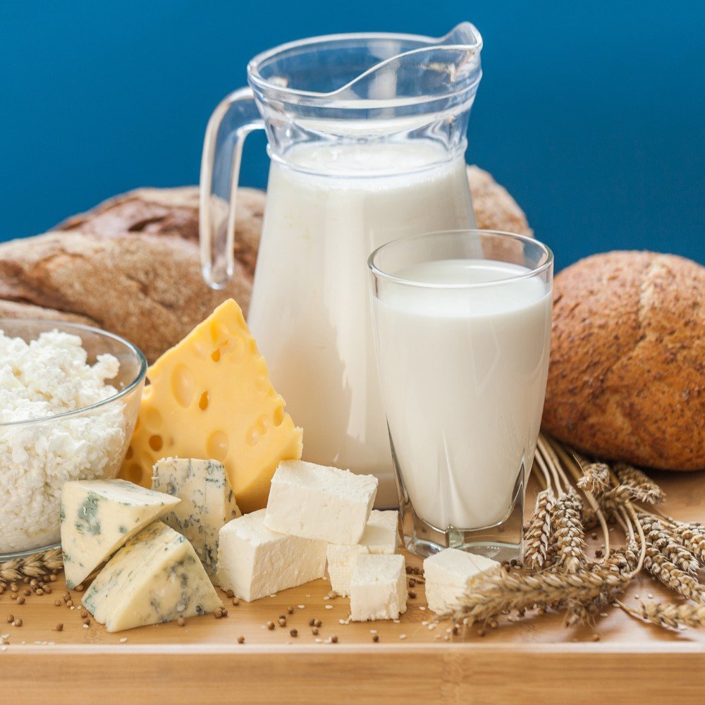 Dairy Industry